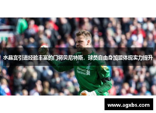 水晶宫引进经验丰富的门将贝尼特斯，球员自由身加盟体现实力提升