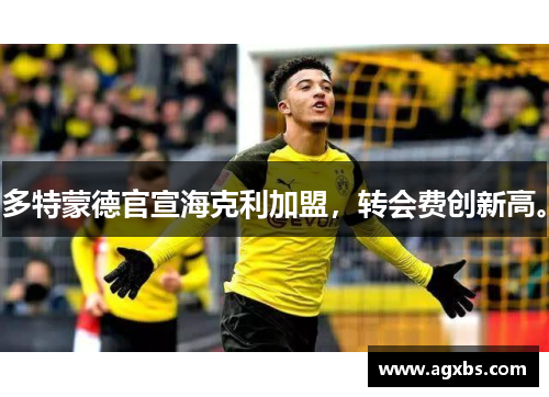 多特蒙德官宣海克利加盟，转会费创新高。